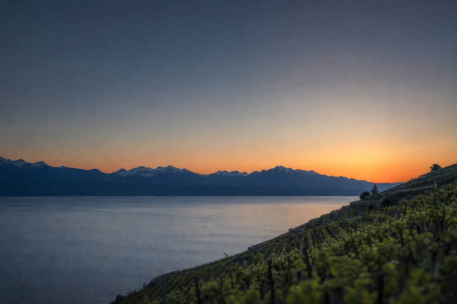 Lake Geneva and the Alps at dusk